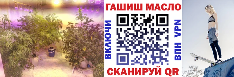 Дистиллят ТГК THC oil  Купить закладки  Лихославль 